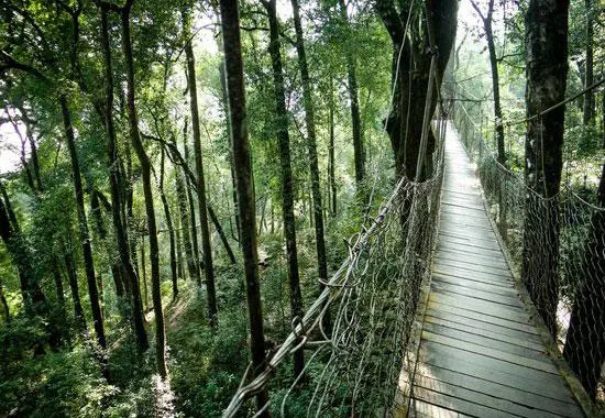 Lolegaon Park Canopy Walk